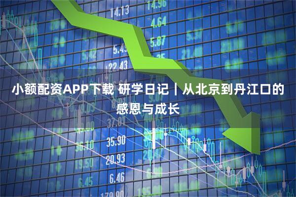 小额配资APP下载 研学日记｜从北京到丹江口的感恩与成长