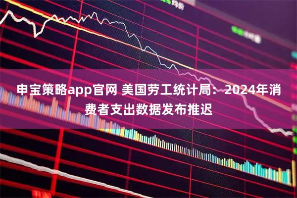 申宝策略app官网 美国劳工统计局：2024年消费者支出数据发布推迟