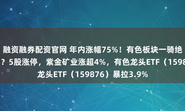 融资融券配资官网 年内涨幅75%！有色板块一骑绝尘！还能再涨吗？5股涨停，紫金矿业涨超4%，有色龙头ETF（159876）暴拉3.9%